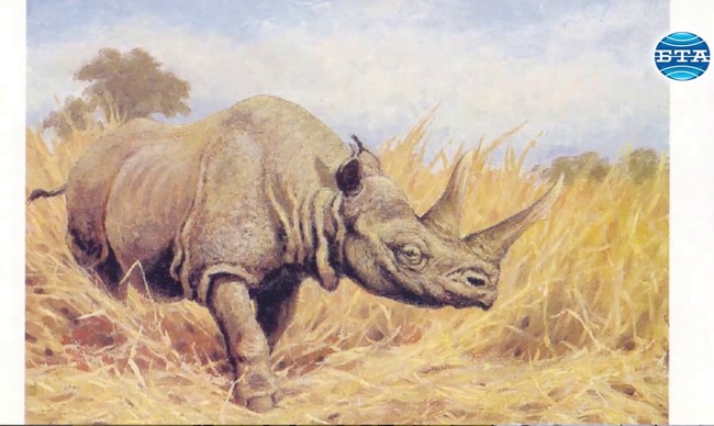 Преди 8 милиона години Балканите са приличали на днешната африканска савана 