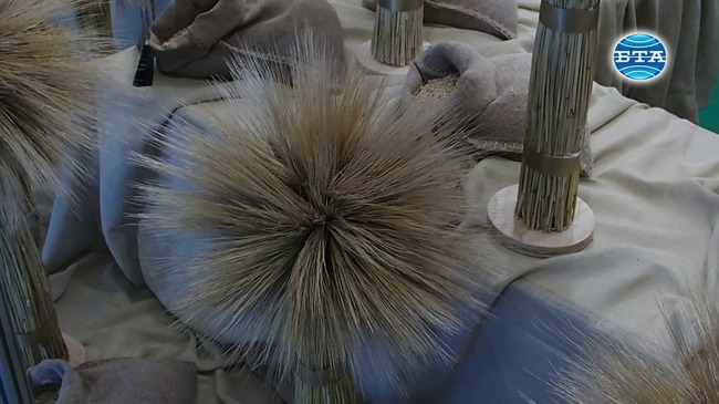 Изложенията "Агра", "Фудтех" и "Винария" започнаха в Пловдив