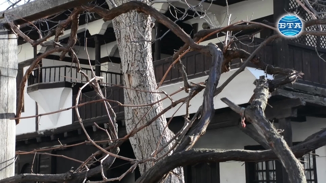 Празникът Трифон Зарезан е продължение на култа към виното и бог Дионис 