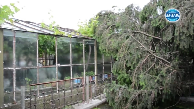 Сериозни са щетите във варненското село Куманово след вчерашната буря
