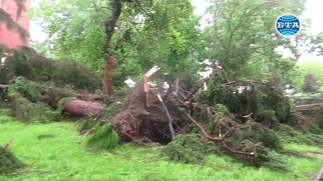 Силна буря с градушка нанесе много материални щети в Плевен 