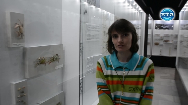 Музеят в Бургас представя многообразния и неповторим животински свят в Странджа