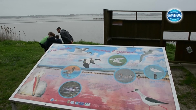 В Бургас се проведе акция за чиста лагуна 