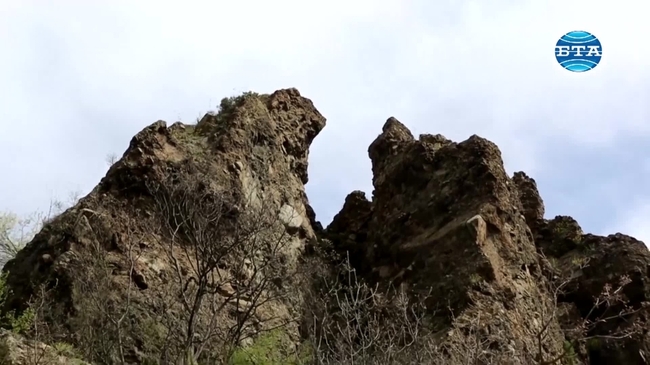 Журналисти от Българска телеграфна агенция засадиха 120 дървета над град Рила