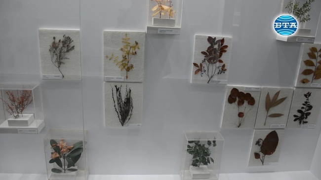 Странджа планина пази уникален и разнообразен растителен свят