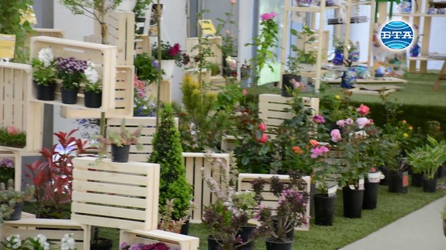 Тазгодишното издание на "Флора - Бургас" се провежда под мотото "Цветно"