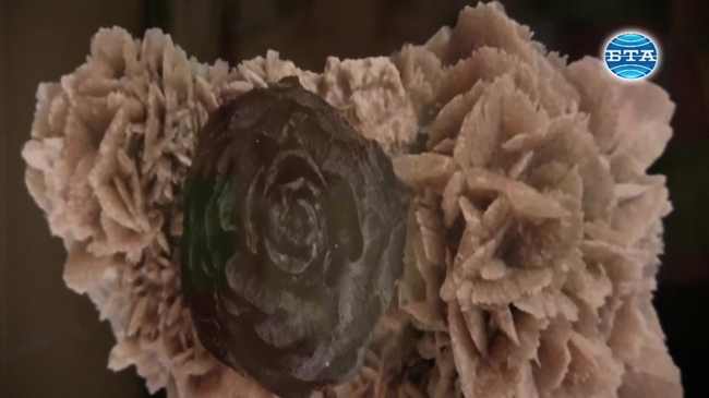 Поети и художници представиха в Каварна творбите си, вдъхновени от розата