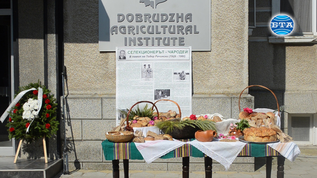 В Деня на отворените врати в Добруджанския земеделски институт селекционери представиха над 40 сорта зърнено-житни култури
