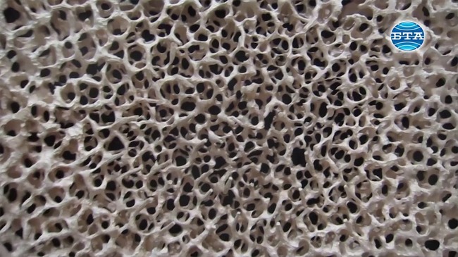 Изложбата "Форум дървопластика" показва 60 впечатляващи творби в Плевен