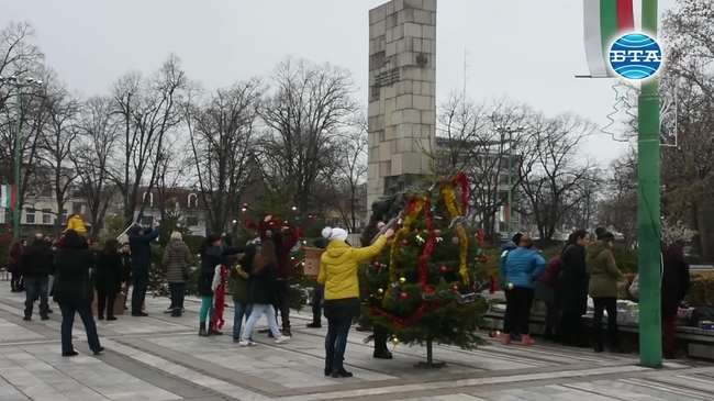 Видинските деца украсиха алея с коледни елхи на централния площад „Бдинци”