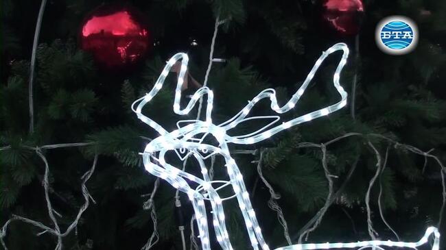 Грейна коледната елха в Смолян