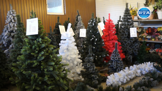 Изкуствените елхи за Коледа спасяват живота на десетки хиляди дръвчета 