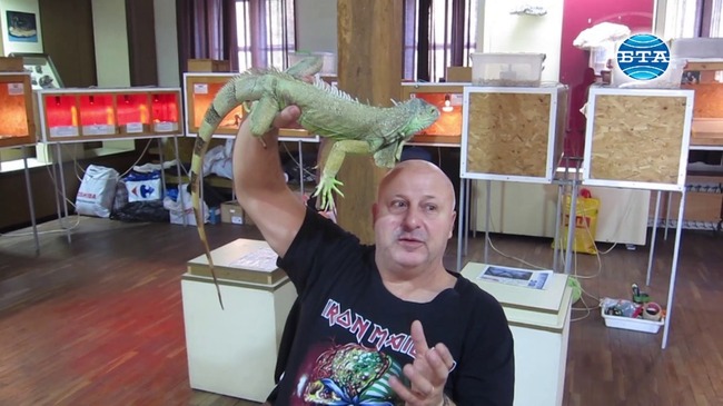 Изложба с живи влечуги предизвиква любопитството на малки и големи в Плевен 