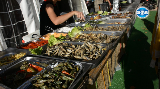 Фестивал на рибата и виното в Бургас предлага вкусна риба, пенливо вино и добро настроение