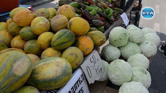 Поройните дъждове това лято са се отразили зле на реколтата на производителите на зеленчуци в Ловешко