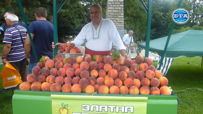 На ежегодния празник „Златна праскова" в сливенското село Гавраилово производители настояха да се запазят наемните цени на местното тържище