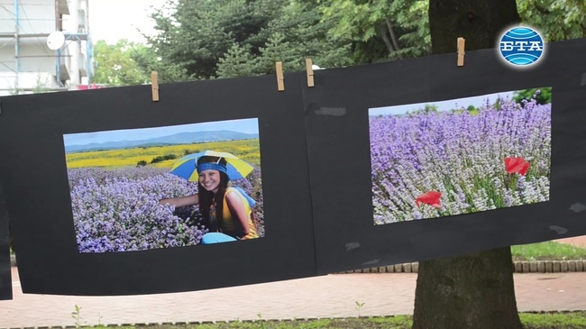 Трети Национален Фестивал на Лавандулата в Генерал Тошево