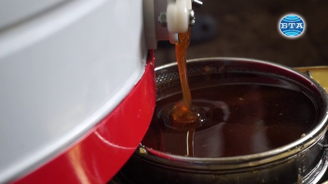 Пчелният мед е една от емблемите на първомайското село Драгойново