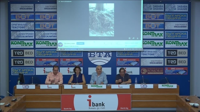 Пресконференция по повод безогледното унищожаване на зеленото богатство на София.