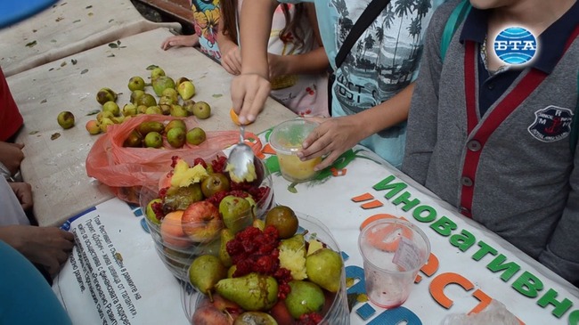 Деца приготвиха плодов сладолед за мечките от Добричкия зоопарк