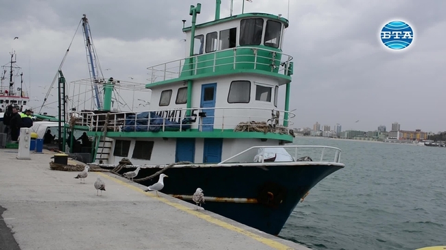 Рибарите от Бургас отчитат добър улов тази година