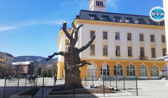 Спор за съдбата на символа на Сливен