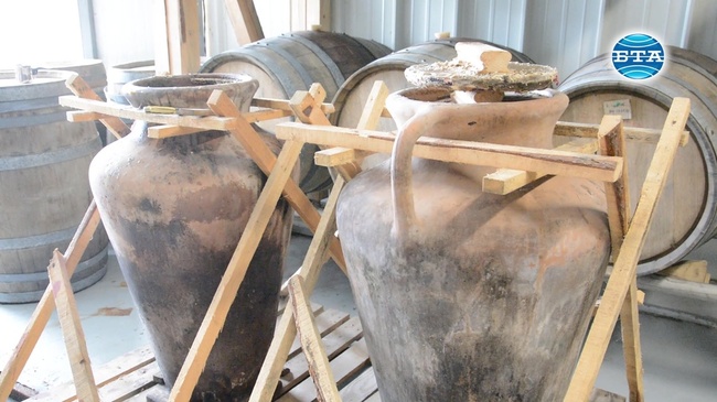 Вино от древен сорт лоза, което отлежава в делви, правят край Варна