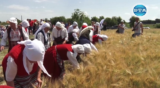 В община Тунджа откриха жътвената кампания