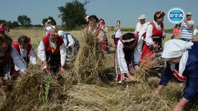 Празник на жътварската песен и възстановка на ритуала зажънване в балчишкото село Гурково