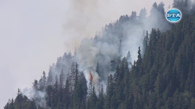 Продължава борбата с пожара над Боровец