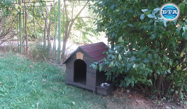 Къщички за бездомни кучета постави община Перник в междублокови пространства