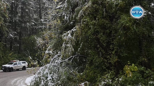 Временно затворени за коли са пътищата "Драгалевци - "Алеко" и "Бояна - "Златни мостове"