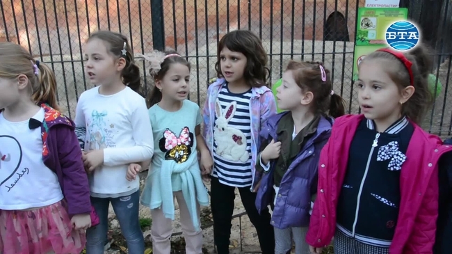 Във варненския зоопарк отбелязаха третия рожден ден на лъва