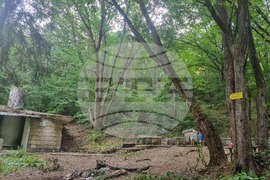 Търговище - туризъм - хижа