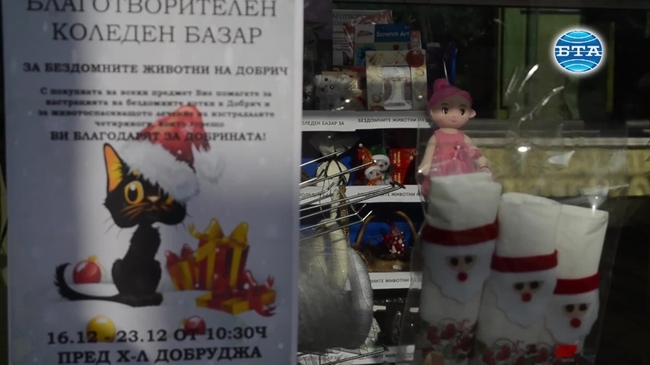 В Добрич се проведе Коледен базар за бездомни котки