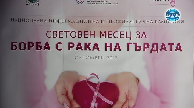 Над хиляда балона полетяха над столицата в памет на загубилите битката с рака на гърдата