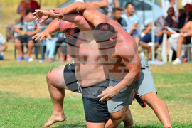 Село Китанчево - народни борби