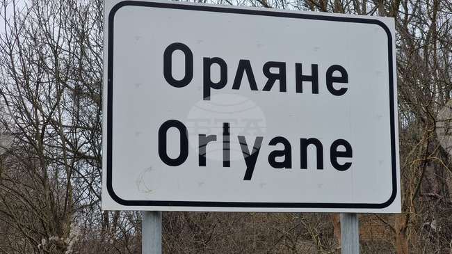 Повече от 50 елена лопатари е разселило Ловно-рибарското дружество в Ловеч в последните три години