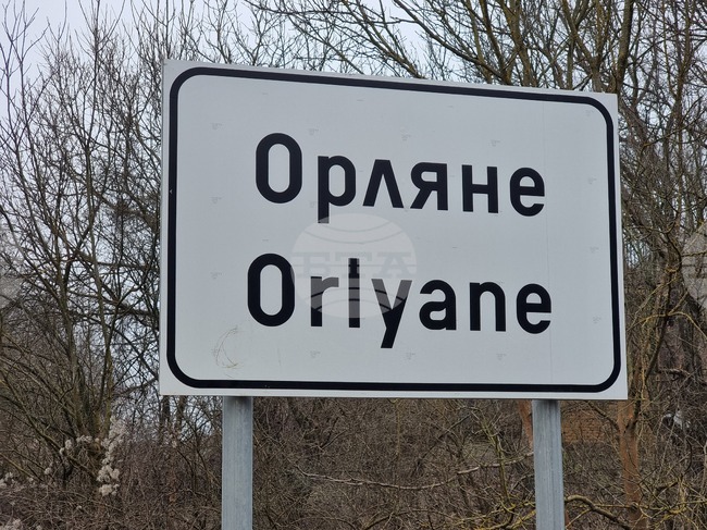 Повече от 50 елена лопатари е разселило Ловно-рибарското дружество в Ловеч в последните три години