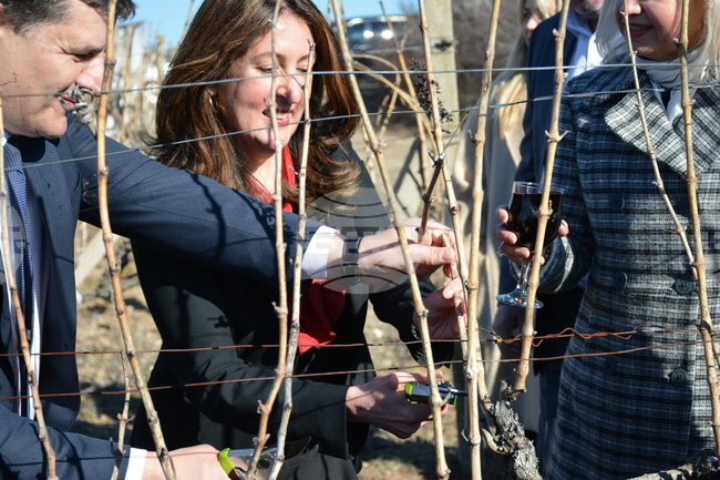 Село Илинденци - празник