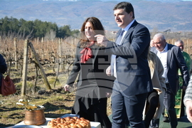 Село Илинденци - празник