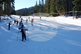 Берковица - община - безплатни ски-уроци