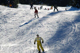 Берковица - община - безплатни ски-уроци