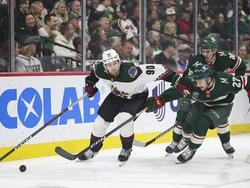 Coyotes Wild Hockey
