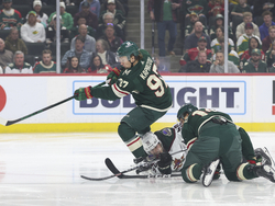 Coyotes Wild Hockey
