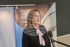 Нидерландия - конференция