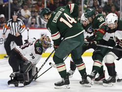 Coyotes Wild Hockey