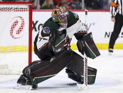 Coyotes Wild Hockey