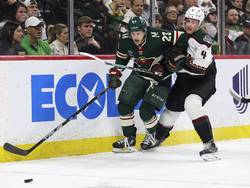 Coyotes Wild Hockey