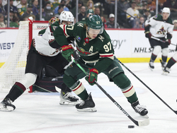 Coyotes Wild Hockey